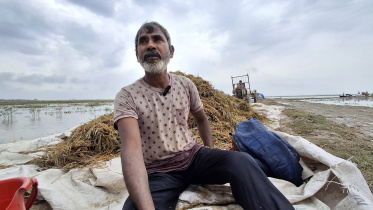 swapan_paddy.jpg