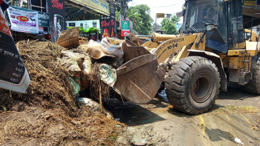 waste removal.jpg