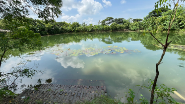 water world of sundarbans.png