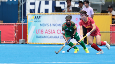 BD-CHN.jpg