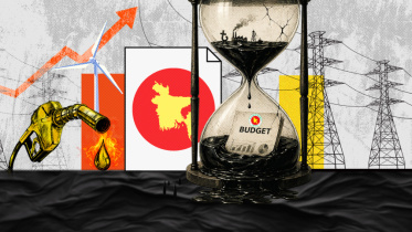 Bangladesh's energy budget decision is crucial for country's future