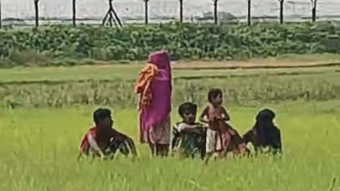 The identities of the stranded individuals could not be immediately verified. Photo: Collected