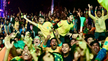 Brazil fans.jpg