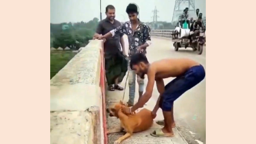 Dog killing in Narsingdi.png