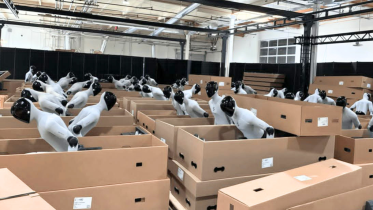 Figure AI robot workers