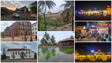 Goa collage.jpg