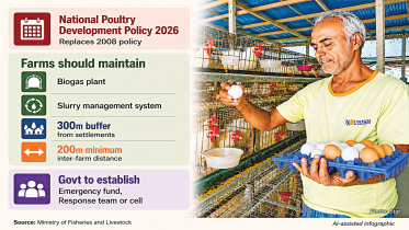 Poultry-sector.jpg