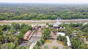Bangladesh ecological damage from modern farming