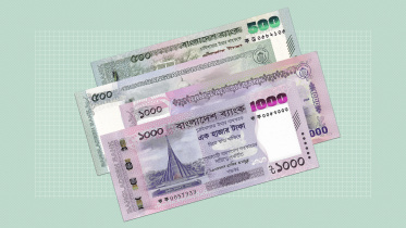 BNP MP 500 and 1000 notes demonetisation proposal