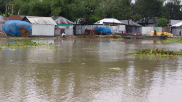Teesta.jpg