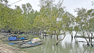 While the ban is intended to support ecological regeneration, it leaves thousands of Bonojibis..jpg