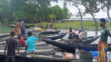 ban-sundarban.jpg