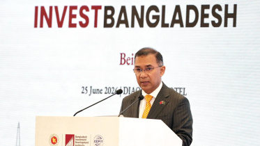 beiging_tarique.jpg