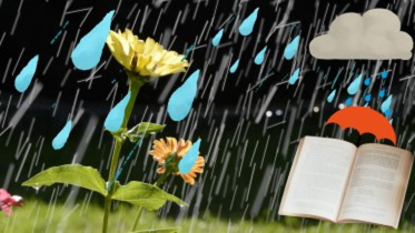 rain-rain.jpg