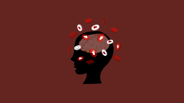 reels culture and attention span.png