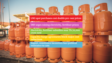 Bangladesh Gas Subsidy
