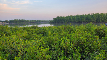 Ed2-Sundarbans.jpg