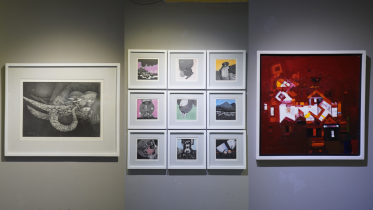 ‘Inner Certitude’: Mohiuddin Ahmed’s solo exhibition explores themes of environmental change