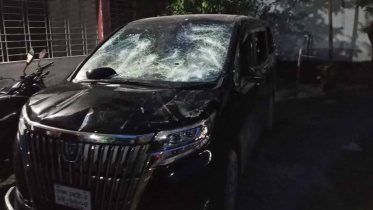 MP-web.jpg