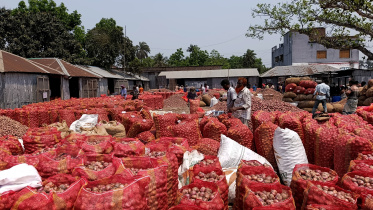 record onion production Bangladesh 2026