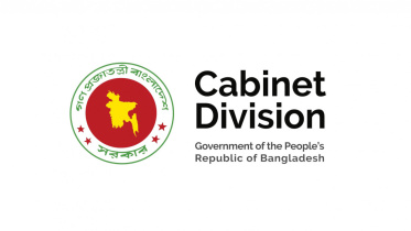 cabinet_division (1).jpg