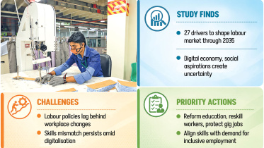 labour market reforms for skill development
