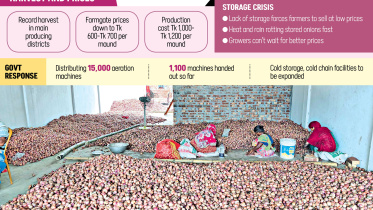 Record Onion Production Bangladesh 2026