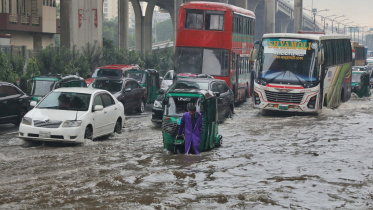 rain5.jpg
