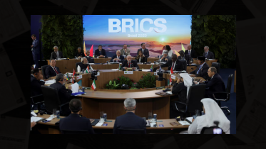 BRICS at 20.png