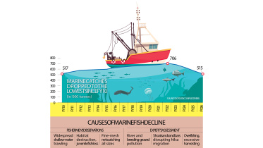 Bangladesh Marine Fish Catch Decline