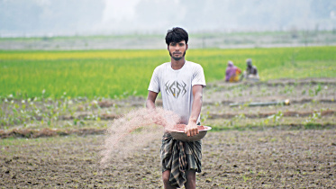 Fertiliser.jpg