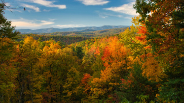In Delaware’s autumn, I remember Dhaka’s winter