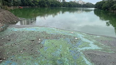 LakeGulshan_Pollution_PAlo.PNG