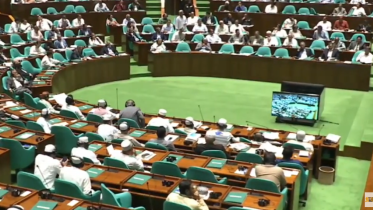 Bank Resolution Amendment Bill 2026 Bangladesh