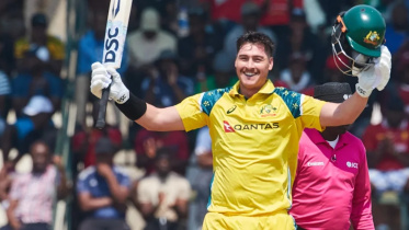 Matt Renshaw.jpg