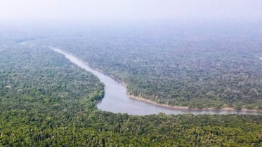 Sundarbans.jpg
