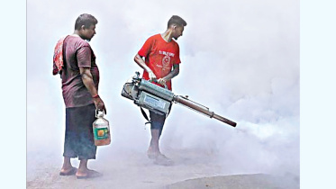dengue.jpg