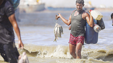 ilish_16.jpg