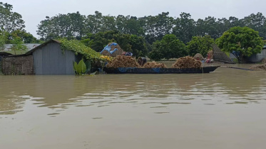 rivers-swell-Chaipainawabganj.jpg