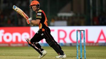 David Warner 
