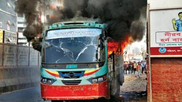 bus_38_1.jpg