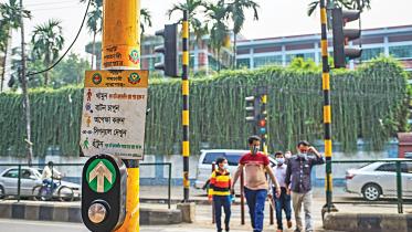 signalling-pedestrians.jpg