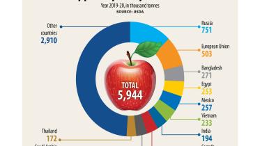 importer-of-apples.jpg