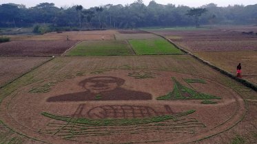 Farmer-makes-Bangabandhu-mural.jpg