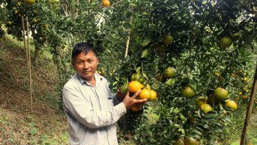 Naniarchar-mandarin-orange.jpg