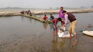 bamboo-bridge.jpg