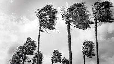 winds-recourse.jpg
