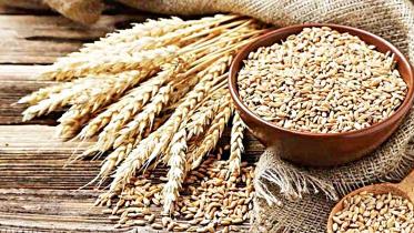 wheat.jpg