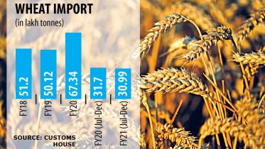 wheat.jpg