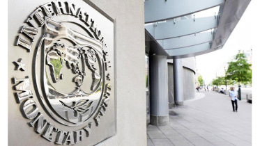 IMF-Final.jpg